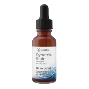 Dynamic Brain